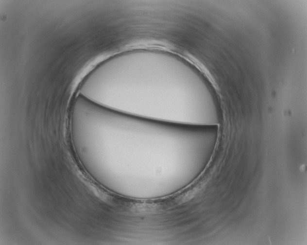 X0000083651277200702261107