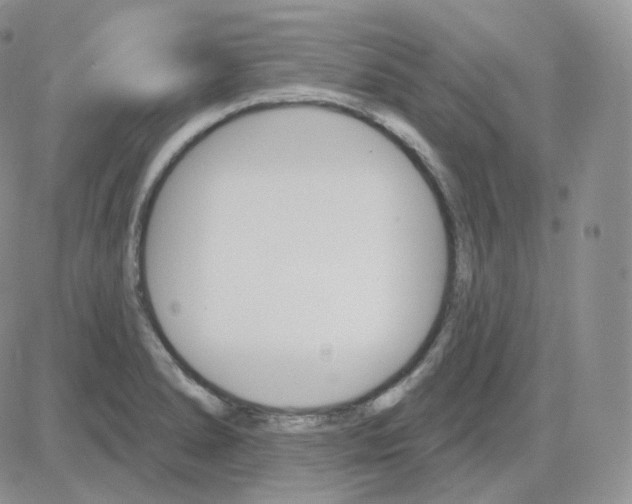 X0000083651278200702261107