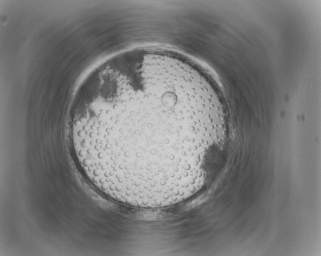 X0000083651279200702261107