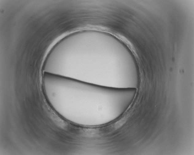 X0000083651280200702261107