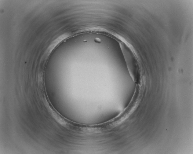 X0000083651281200702261107