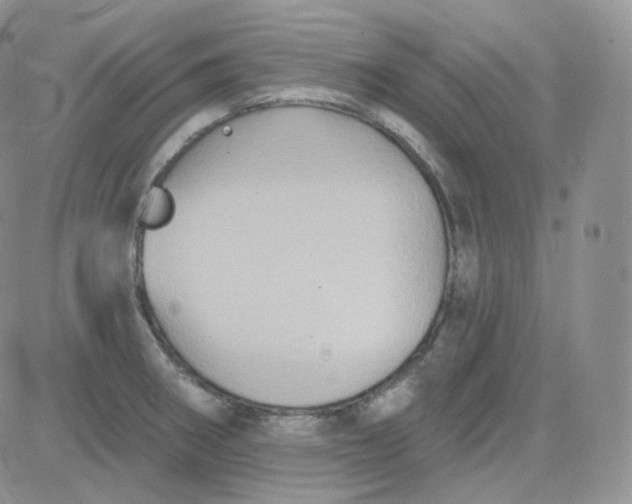 X0000083651282200702261107