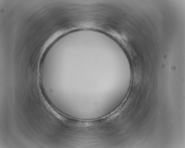 X0000083651286200702261106