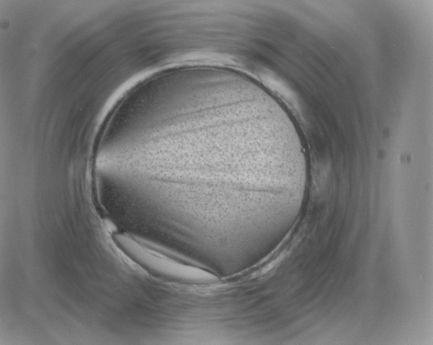 X0000083651288200702261106