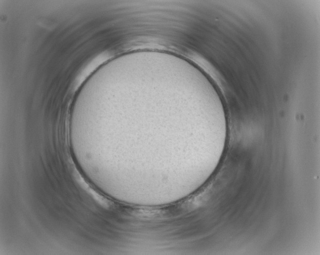 X0000083651290200702261106