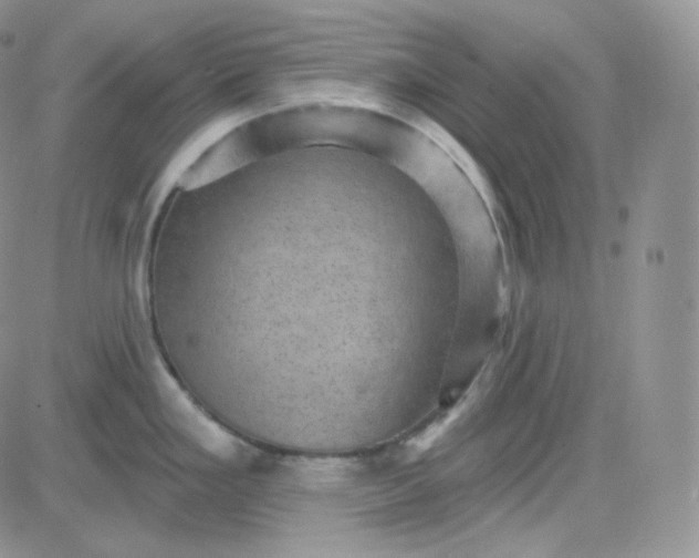 X0000083651293200702261106