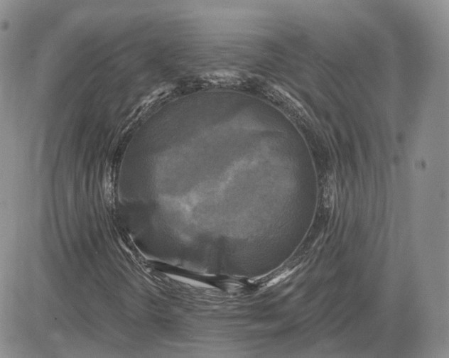 X0000083651298200702261106