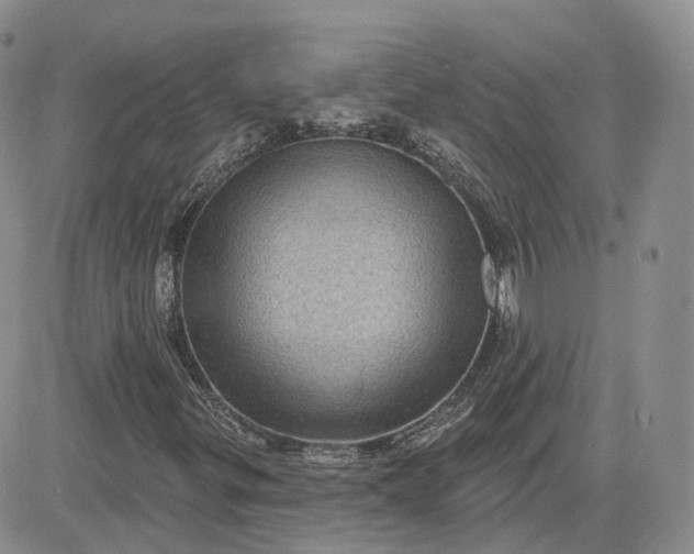 X0000083651299200702261106