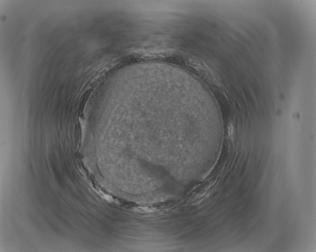 X0000083651300200702261106