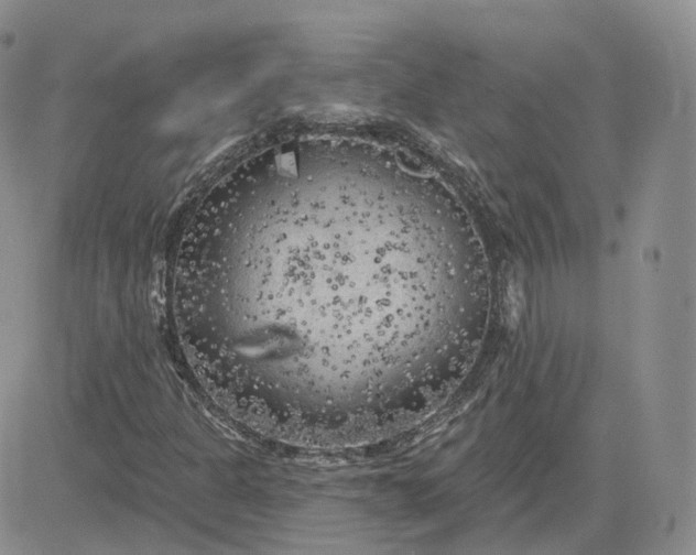 X0000083651301200702261106