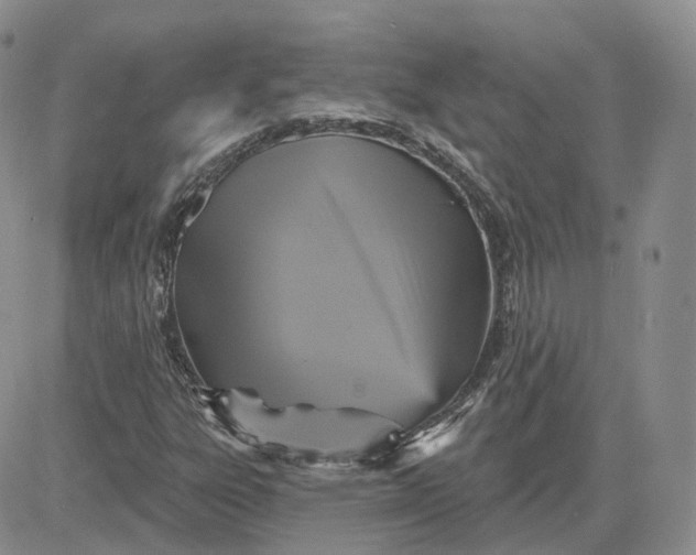 X0000083651303200702261106