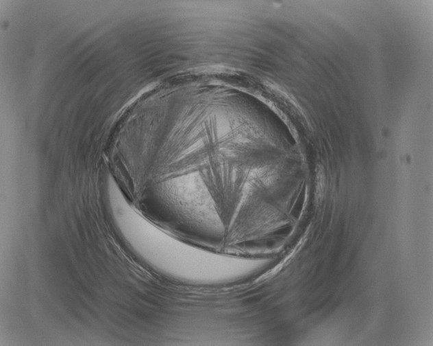 X0000083651305200702261106