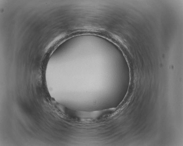 X0000083651307200702261106