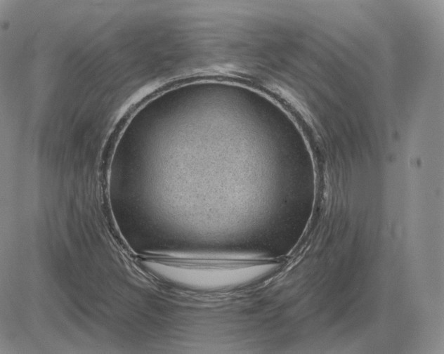 X0000083651308200702261106