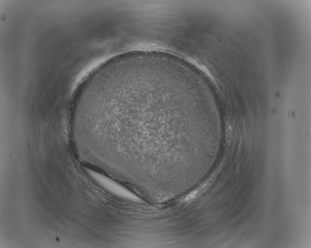 X0000083651311200702261106