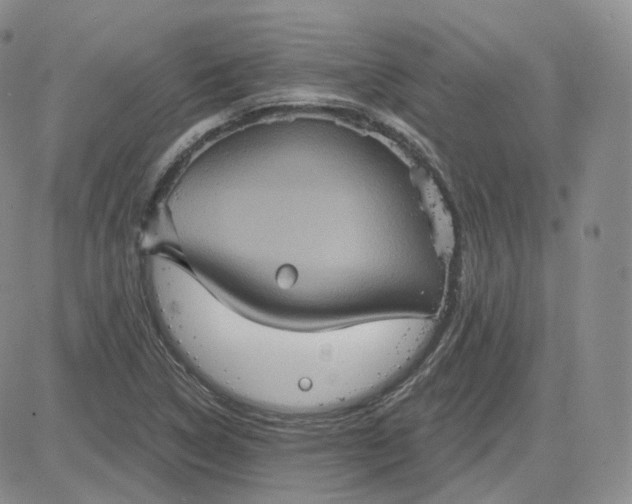 X0000083651314200702261106