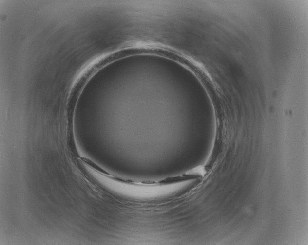 X0000083651319200702261106