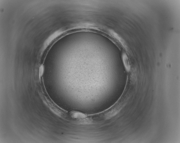 X0000083651320200702261106