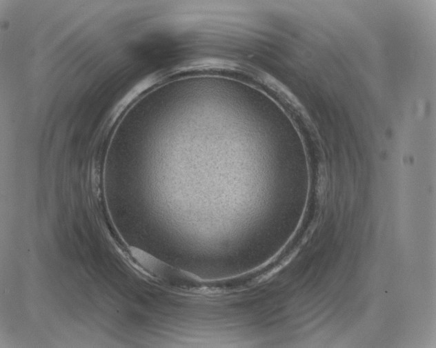 X0000083651321200702261106