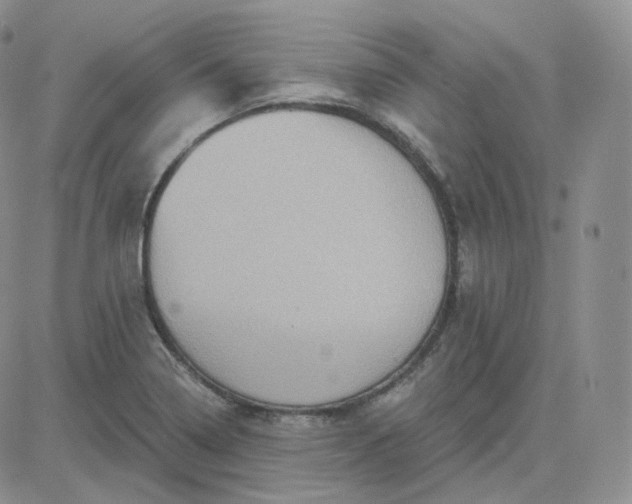 X0000083651322200702261106