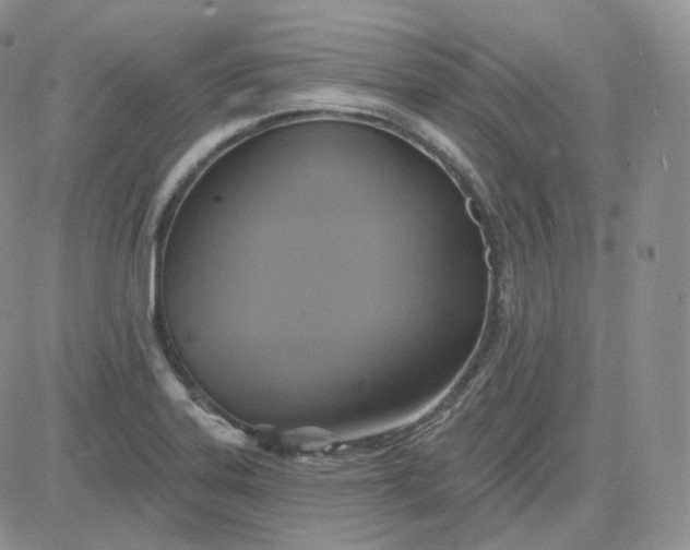 X0000083651323200702261106