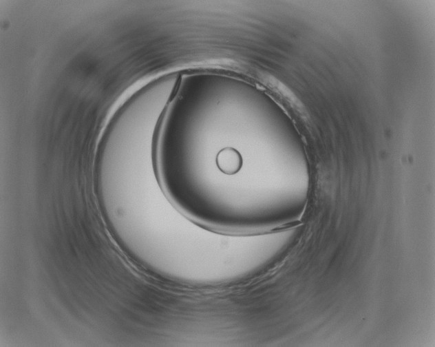 X0000083651324200702261106