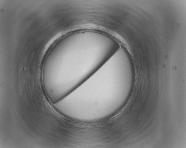 X0000083651326200702261106