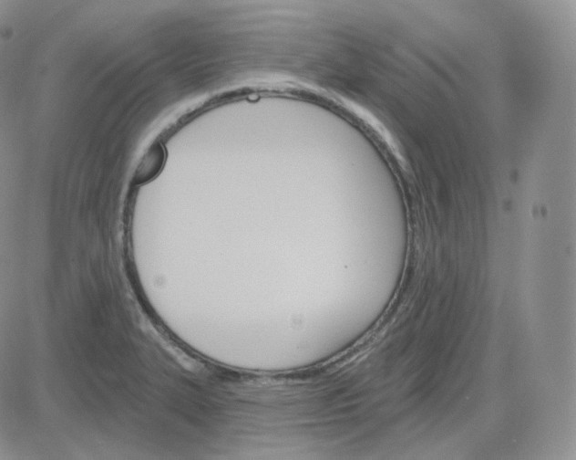 X0000083651327200702261106