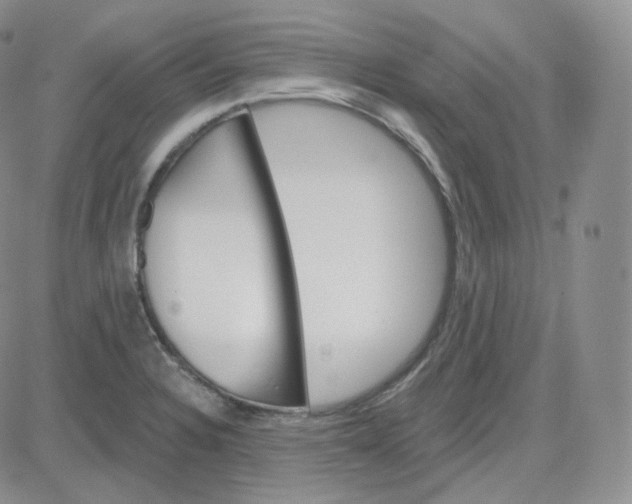 X0000083651328200702261106