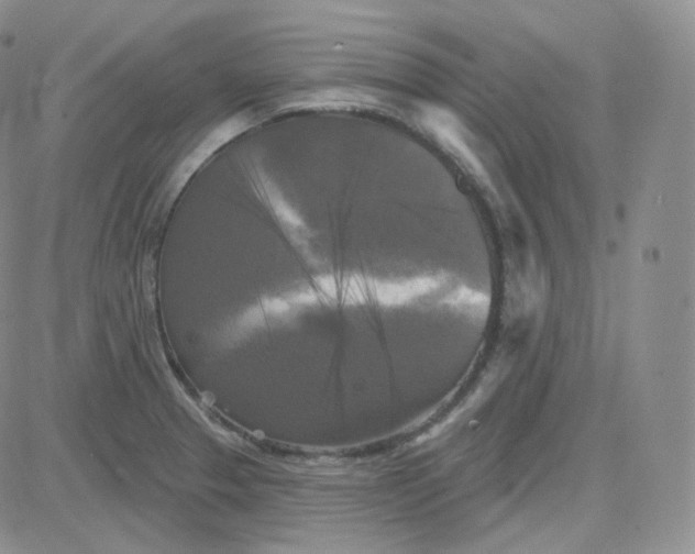 X0000083651329200702261106