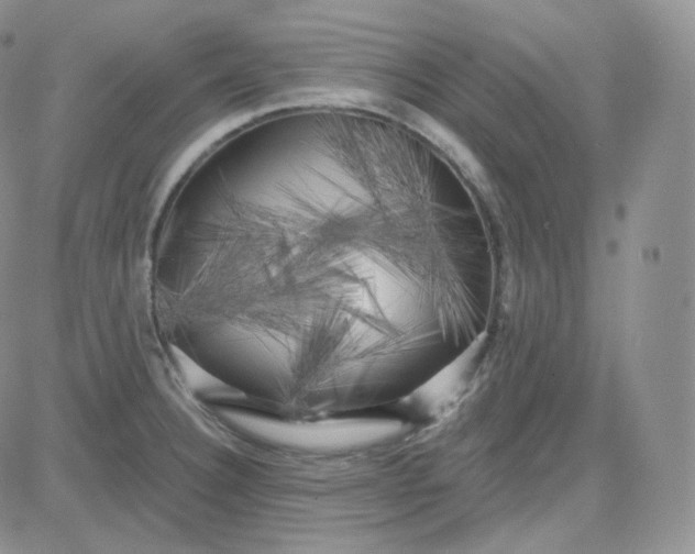 X0000083651332200702261106