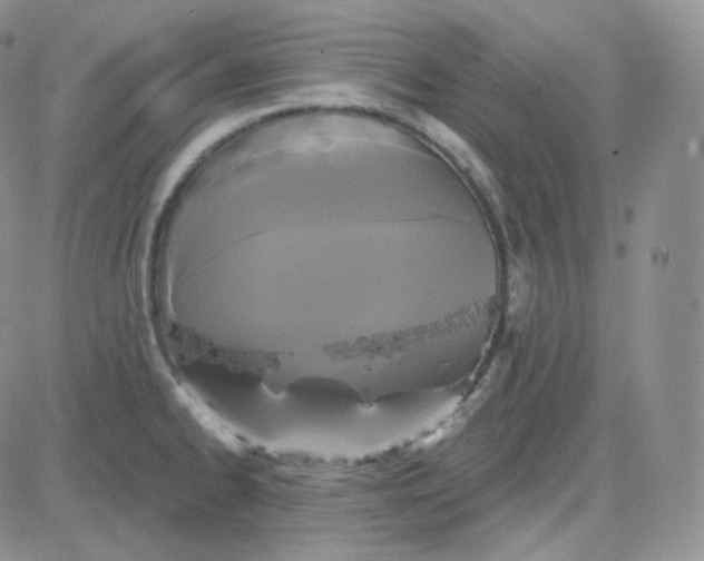 X0000083651334200702261106