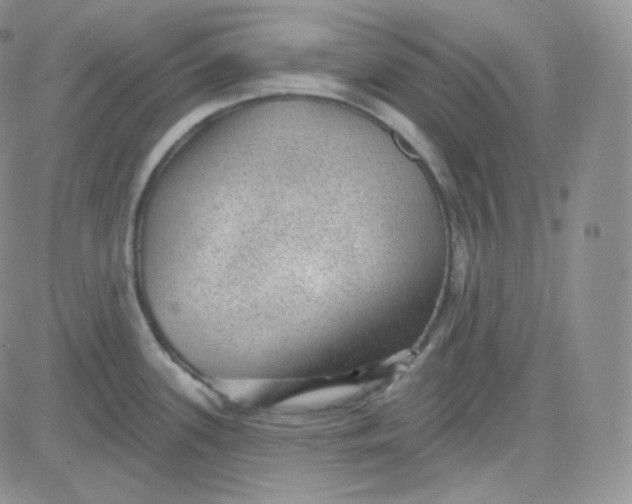 X0000083651339200702261106