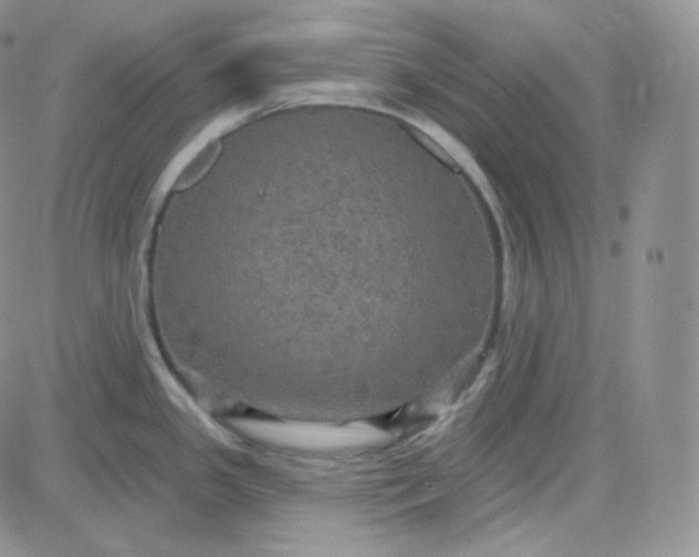 X0000083651341200702261106