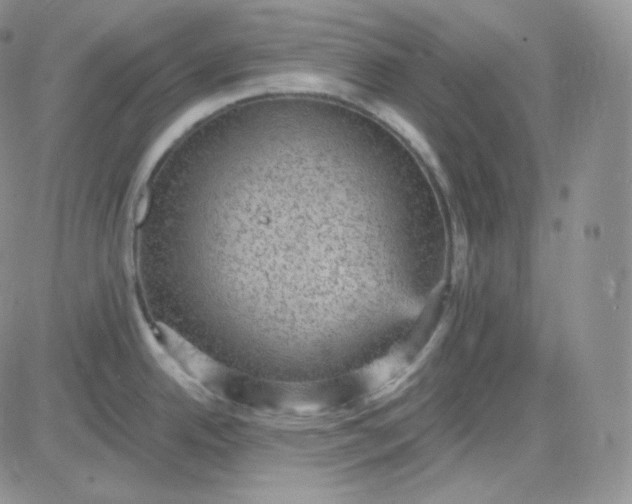 X0000083651342200702261106