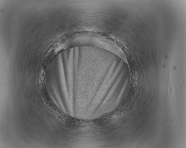 X0000083651349200702261105