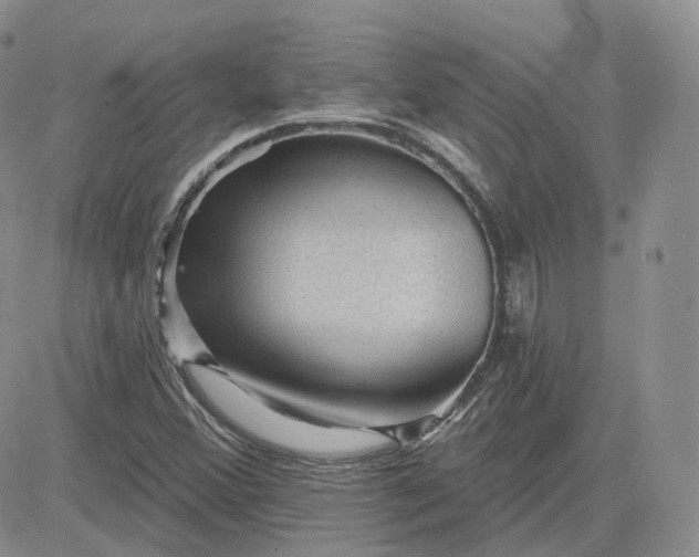 X0000083651356200702261105