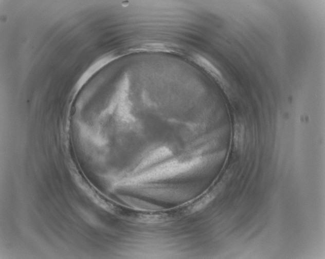 X0000083651378200702261105