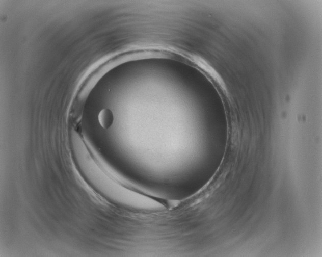 X0000083651380200702261105