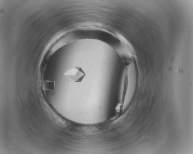 X0000083651384200702261105