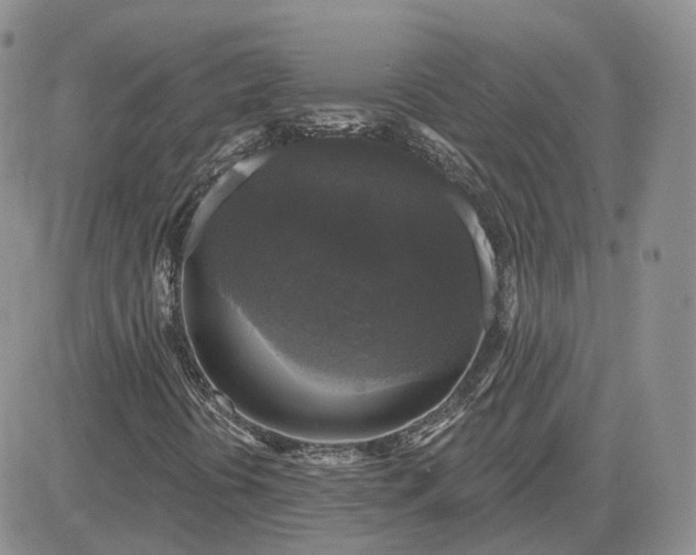 X0000083651394200702261104