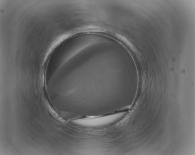 X0000083651413200702261104