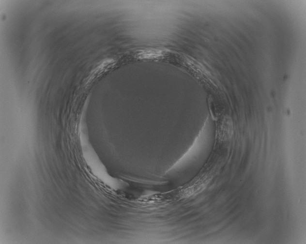X0000083651441200702261104