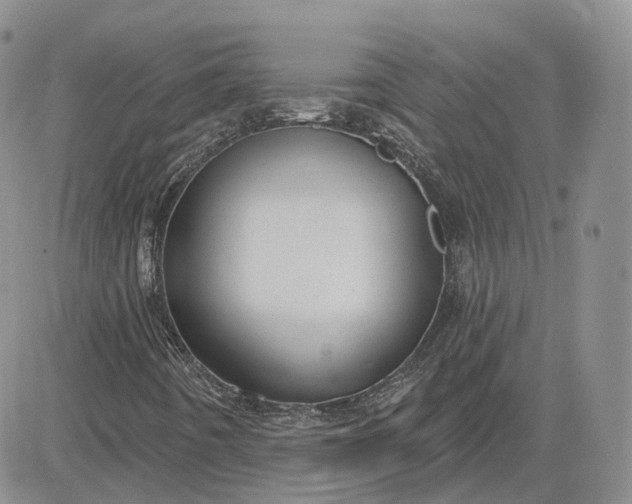 X0000083651442200702261104
