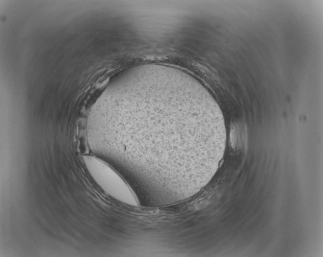 X0000083651444200702261104
