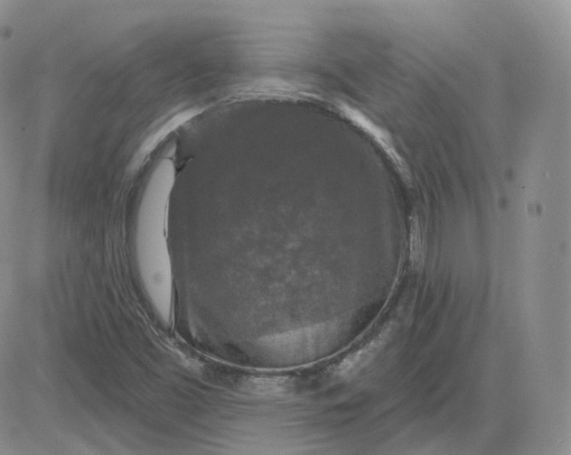 X0000083651453200702261104