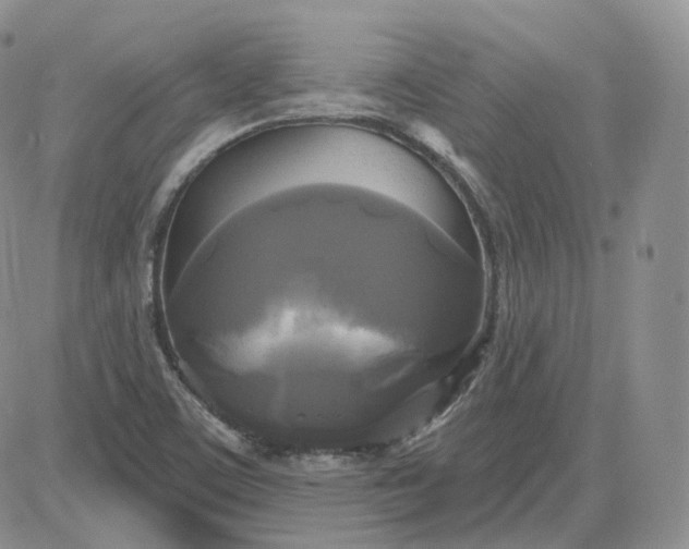 X0000083651459200702261104