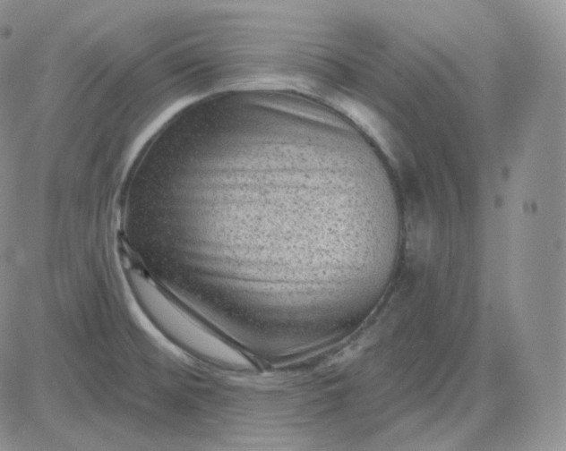 X0000083651476200702261103
