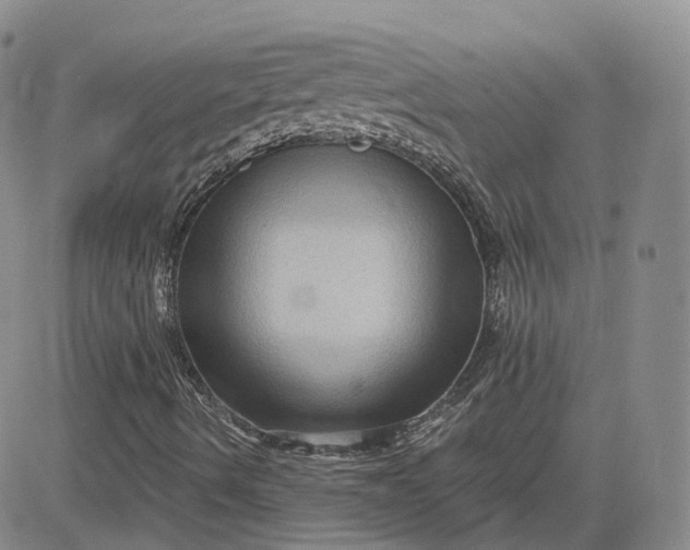 X0000083651490200702261102
