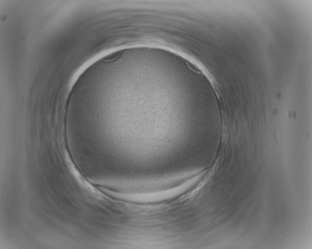 X0000083651534200702261103